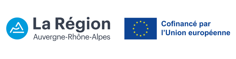 logo-AURA-FSE20UE_original_copy_1